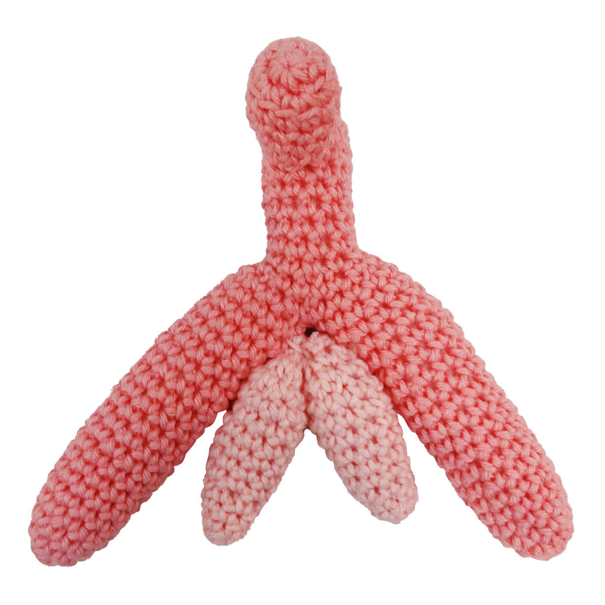 Kit Educativo Vulva com Clitóris de Crochê Miss Collection