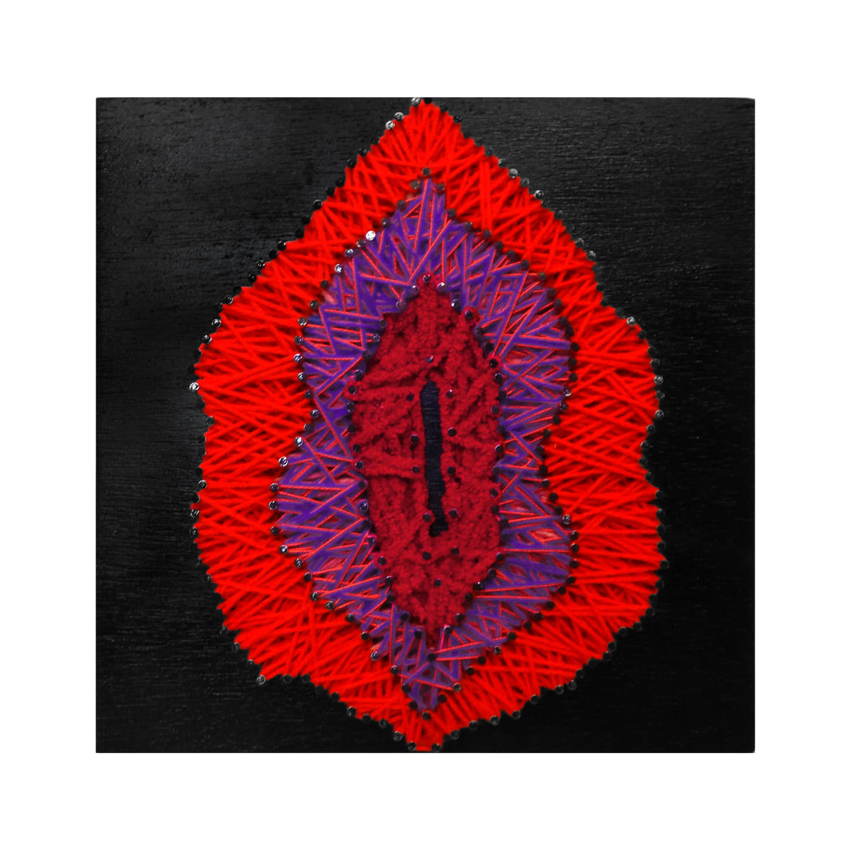 Carnívora em Flor em Formato de Vulva Quadro em String Art 30 cm X 30 cm Meu Clitoris, Minhas Regras