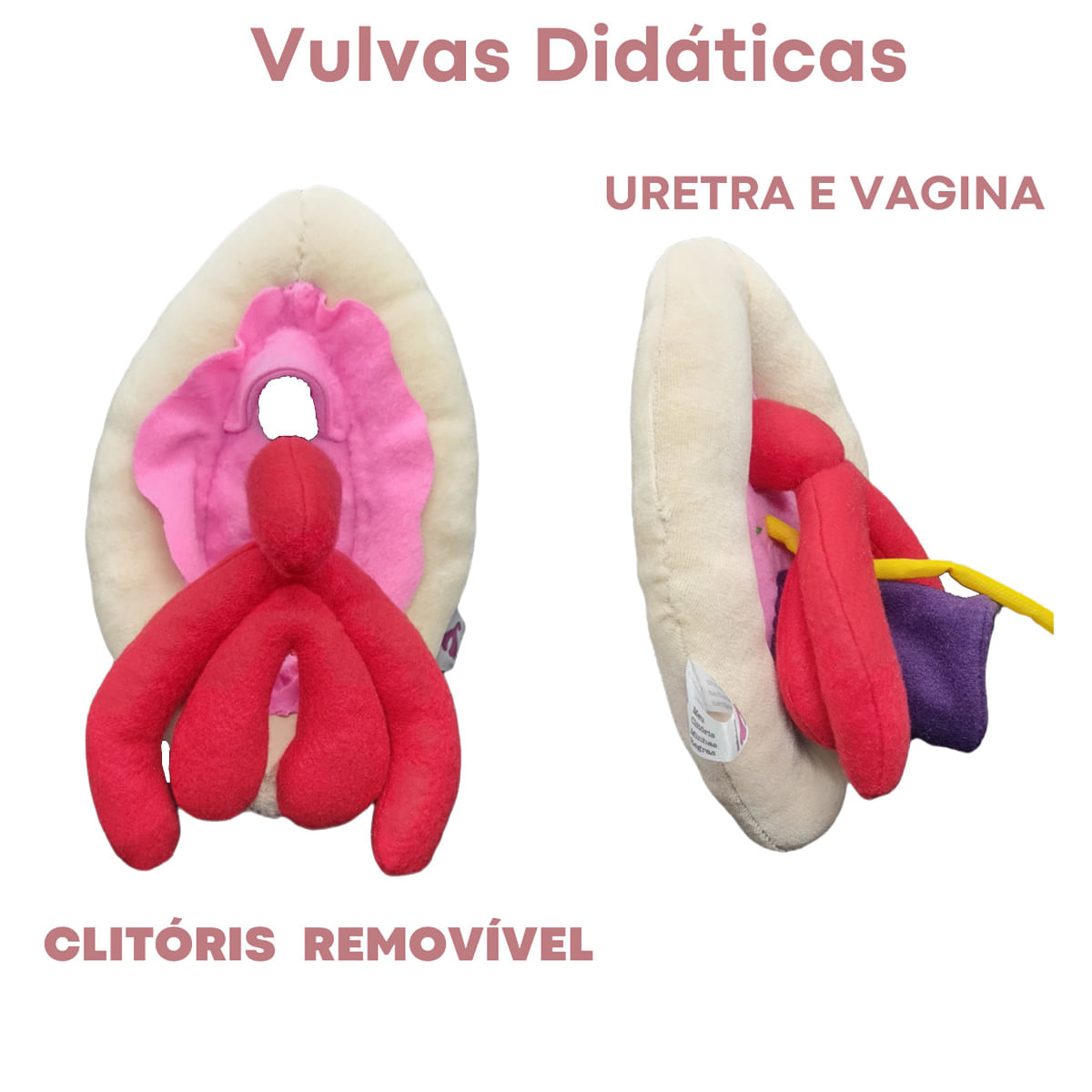 Vulva em Tecido com Vagina Uretra e Clitóris Meu Clitóris, Minhas Regras