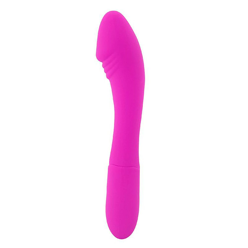 Vibrador Ponto G Recarregável com 10 Modos de Vibração Sexy Import