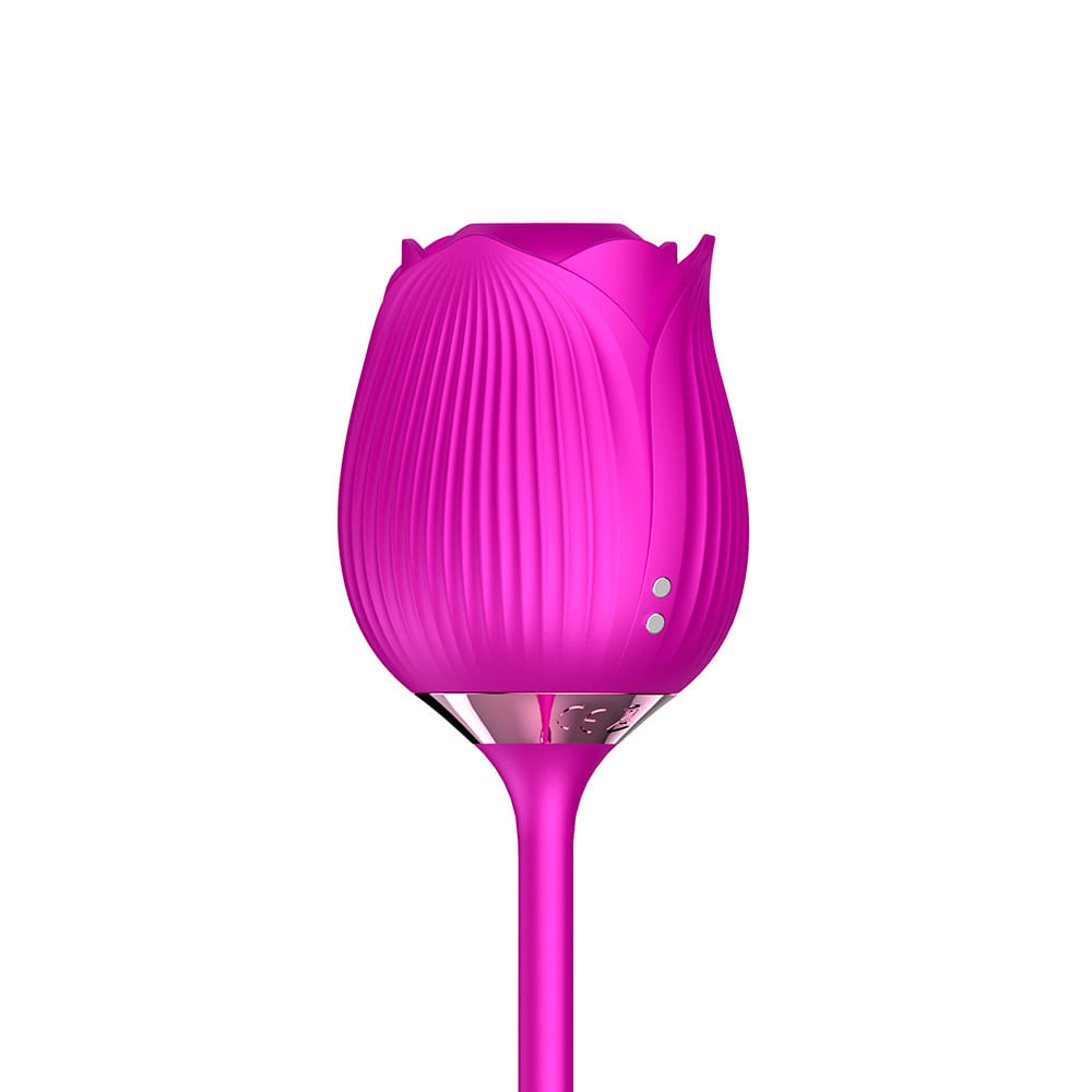 Vibrador Duplo com 10 Modos de Vibração e Pulsação Vip Mix