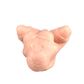 Pussy Sado-Mazoquista Masturbador Masculino em Cyberskin Desire