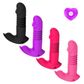 Vibrador Ponto G e Clitóris com Controle Remoto e 12 Modos de Sobe e Desce Sexy Import