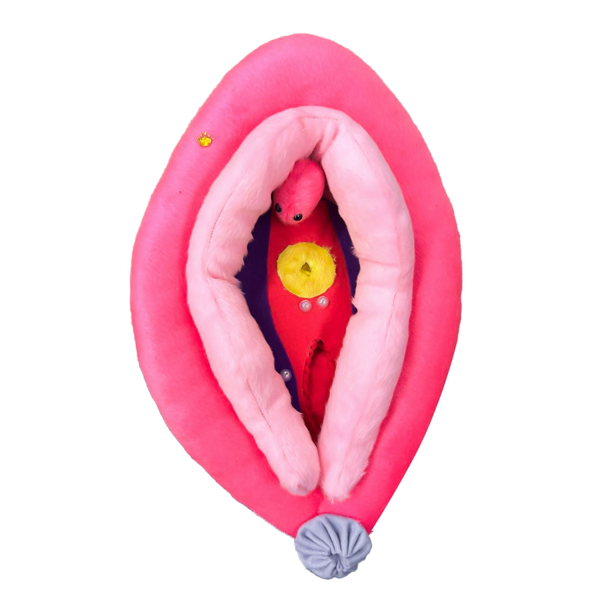 Kit Educativo com 3 Peças Vulva, Clitoris e Pênis Bella Sex Educa