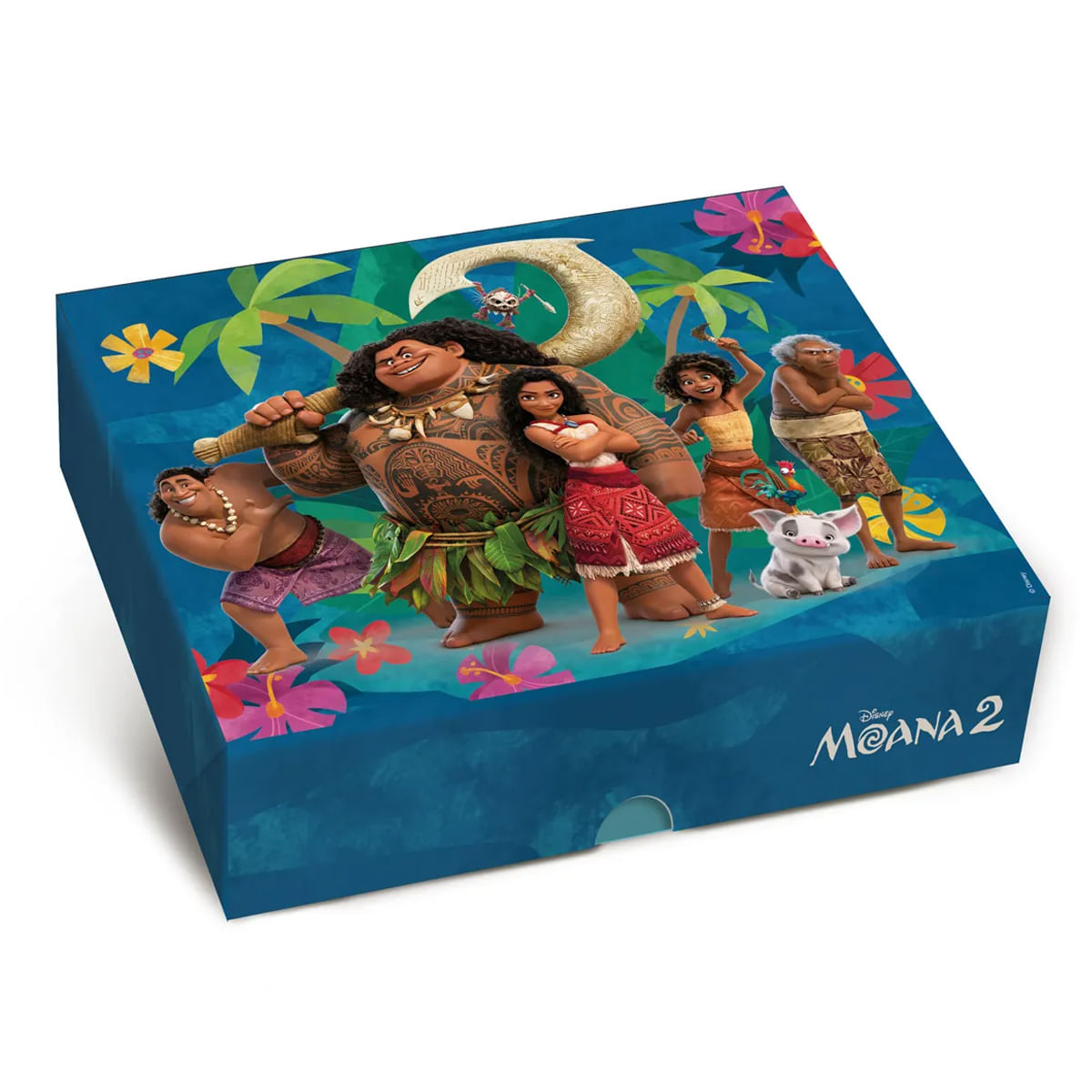 Caixa Retangular Temática Moana 2 Cromus
