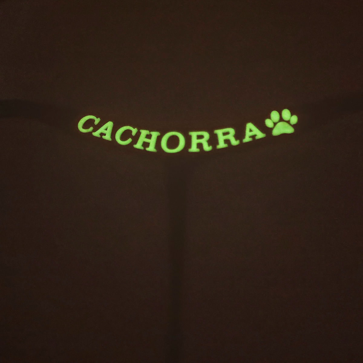 Calcinha Fio Dental Cachorra Coleção Fluorescente Tallyta Moda Apimentada