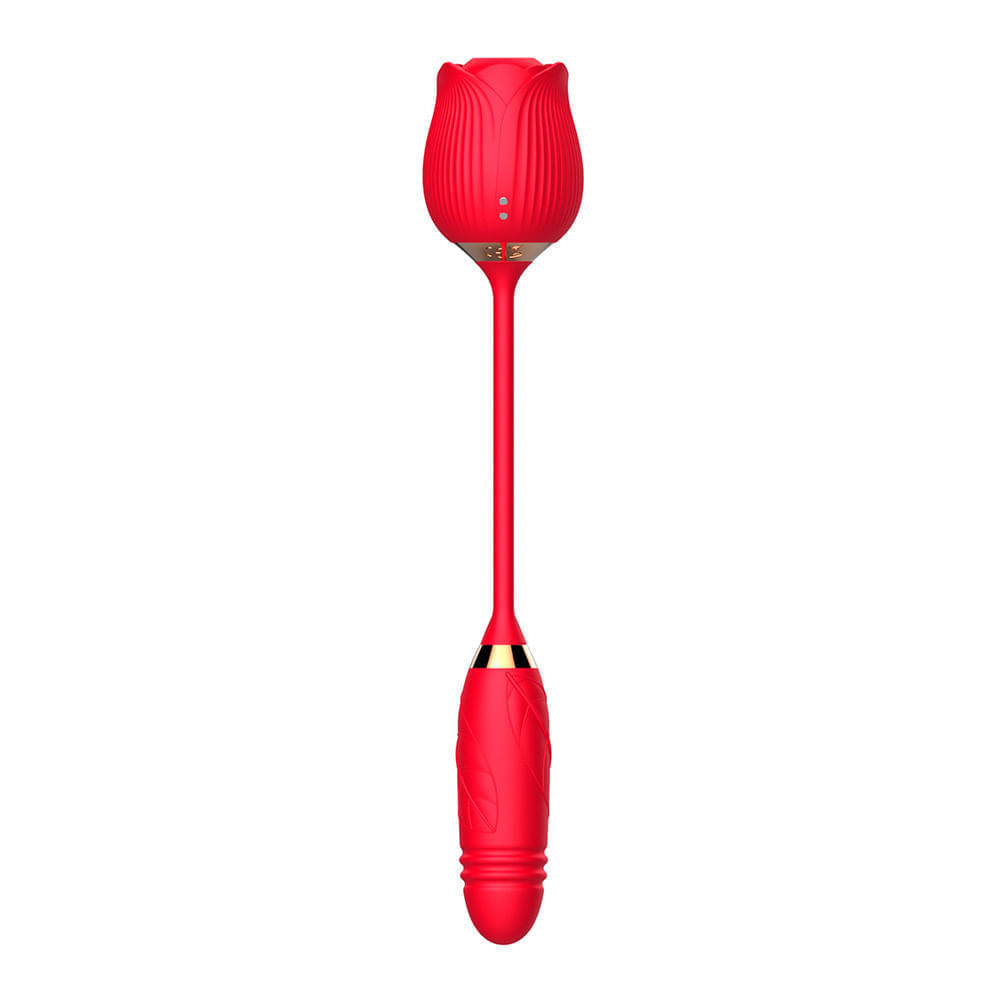 Vibrador Duplo com 10 Modos de Vibração, Pulsação e Vai e Vem Vip Mix